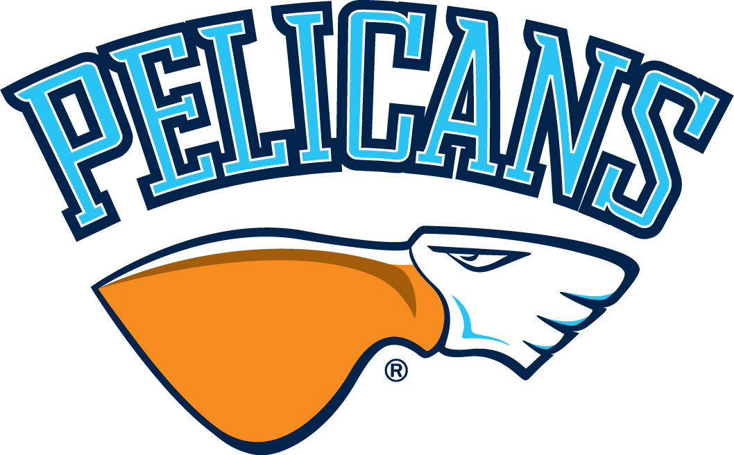 Lahti Pelicans 2017-Pres Primary Logo iron on heat transfer